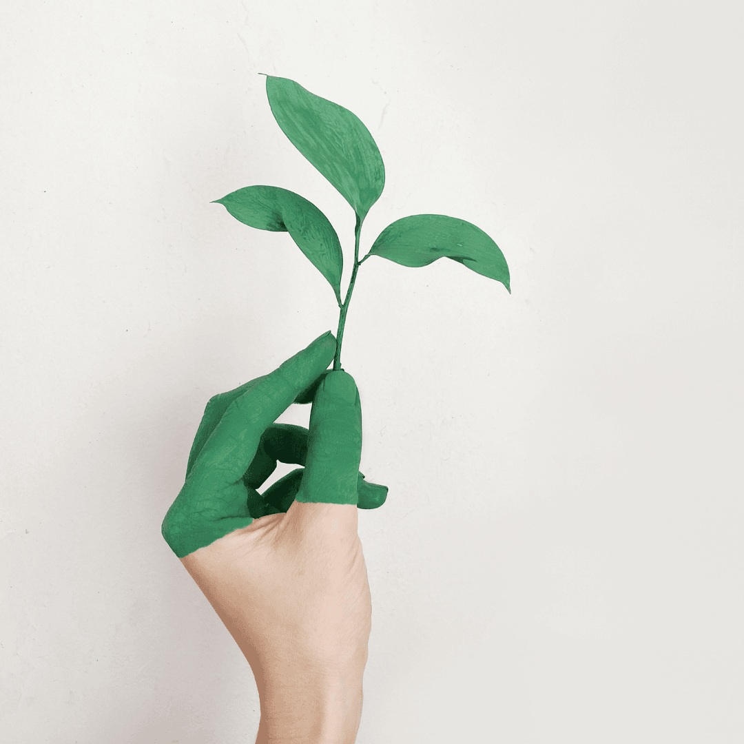 Solutions that grow with you